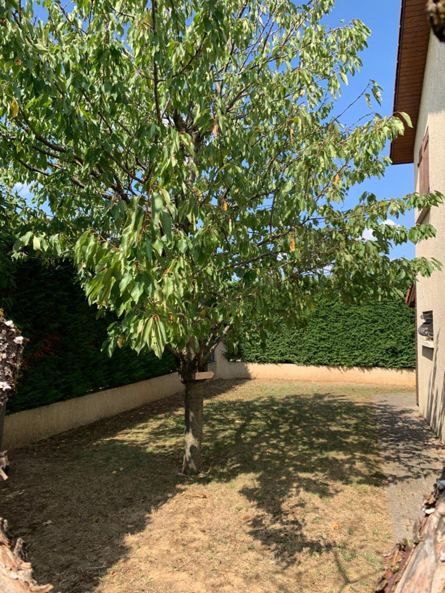 Studio Equipe Le Chasseland Chassieu Exterior photo